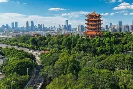 即时比分足球比分-即时比分足球比分，绿茵场上的数字脉搏