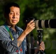 足球比分网价格-深度解析，足球比分网价格背后的价值逻辑与选择指南